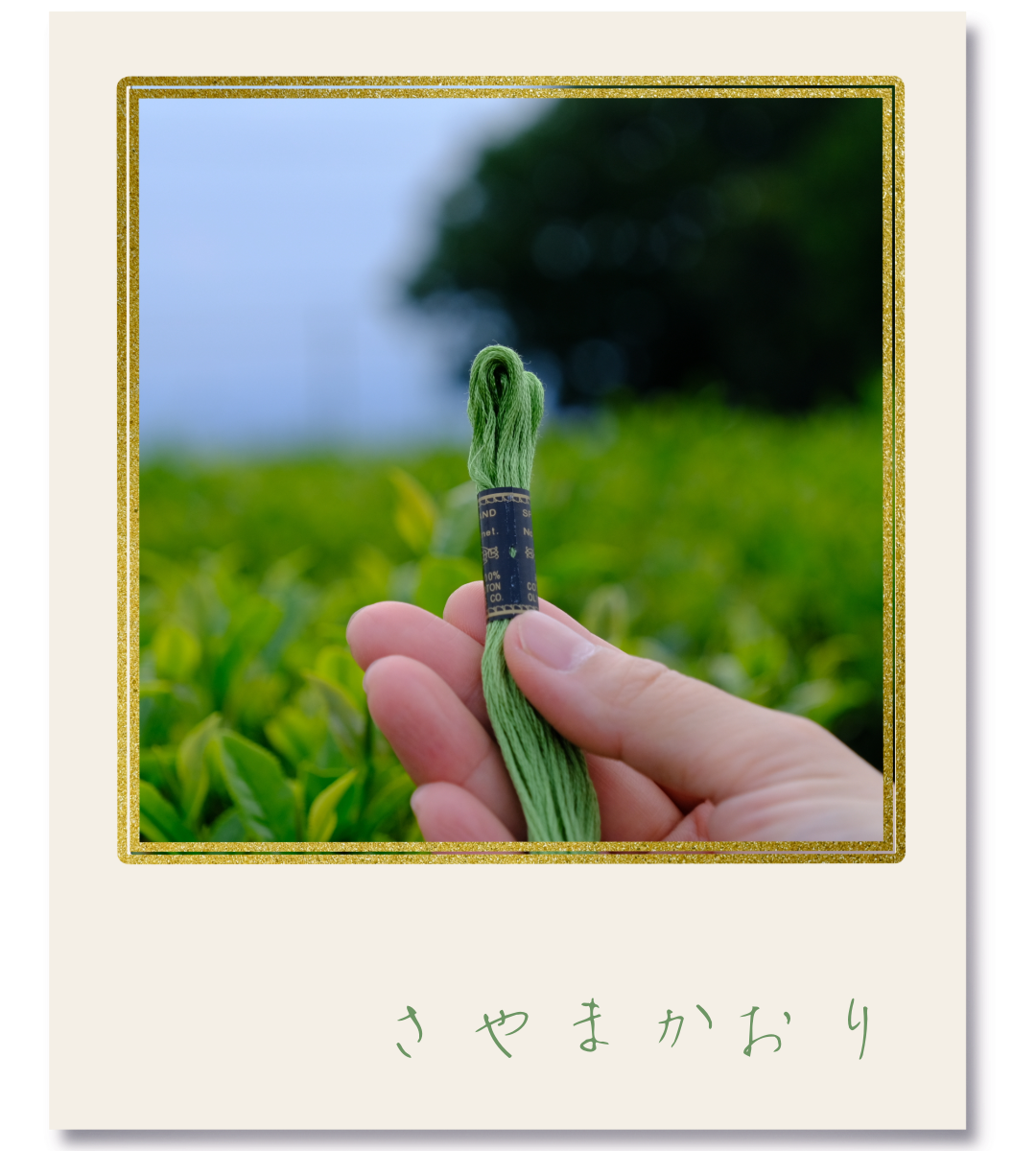 ふ-01-一色の向こう側へ『緑』