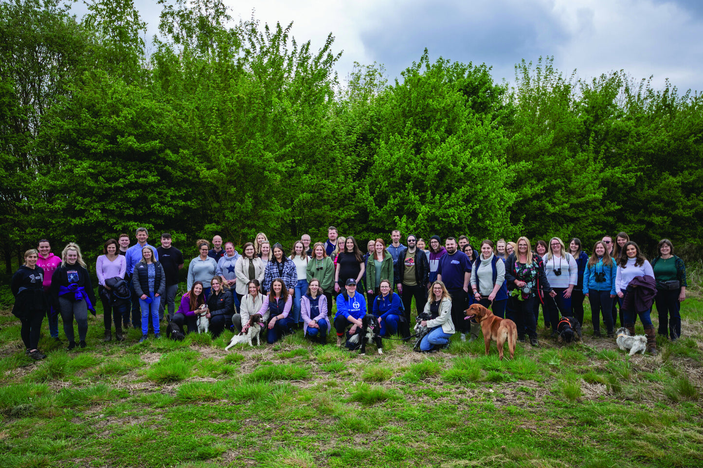 WRENDALE DESIGNS グリーティングカード・毛糸玉