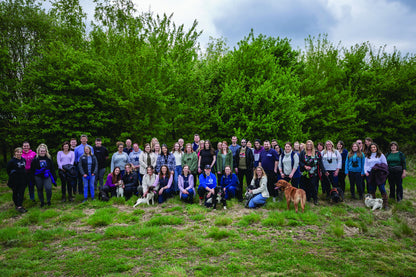 WRENDALE DESIGNS グリーティングカード・毛糸玉