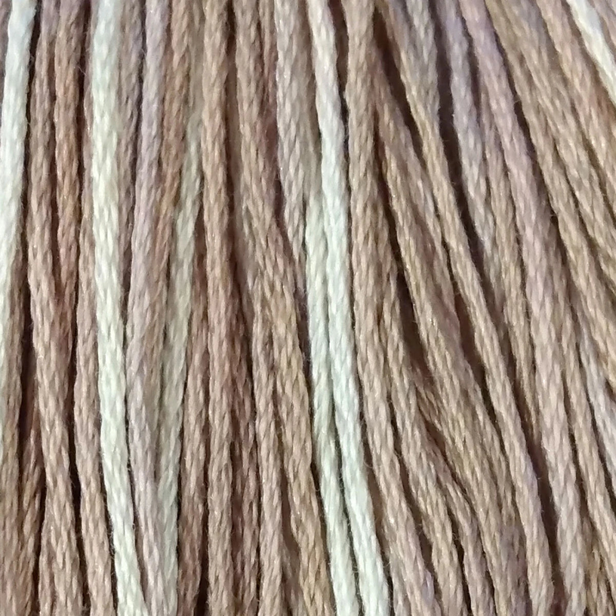 Valdani 段染め6本撚りコットン刺しゅう糸 10yd｜P3 Aged White Medium