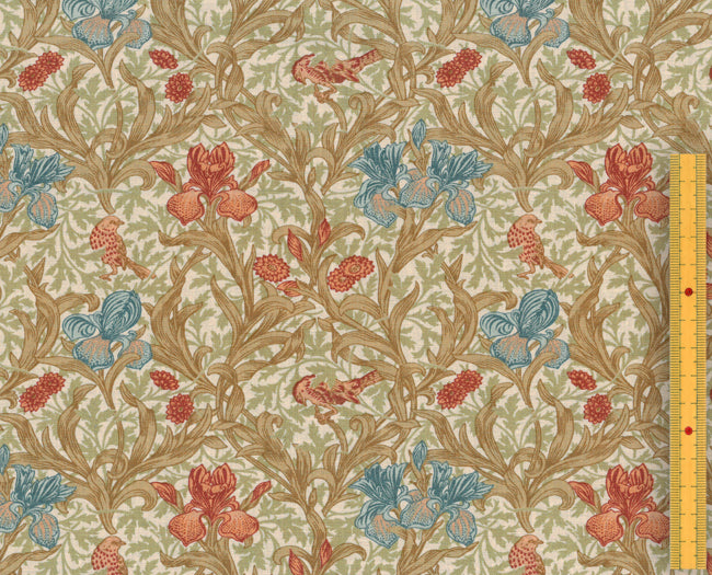 BEST OF MORRIS | アイリス