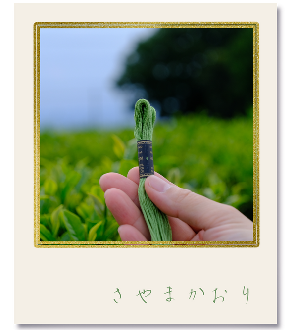 オリムパス25番刺繍糸 #2070｜さやまかおり【風景の色を探しに｜茶畑】-2