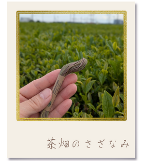 Valdani 25番段染め刺繍糸 #P2-Olive Green|茶畑のさざなみ【風景の色を探しに|茶畑】-2