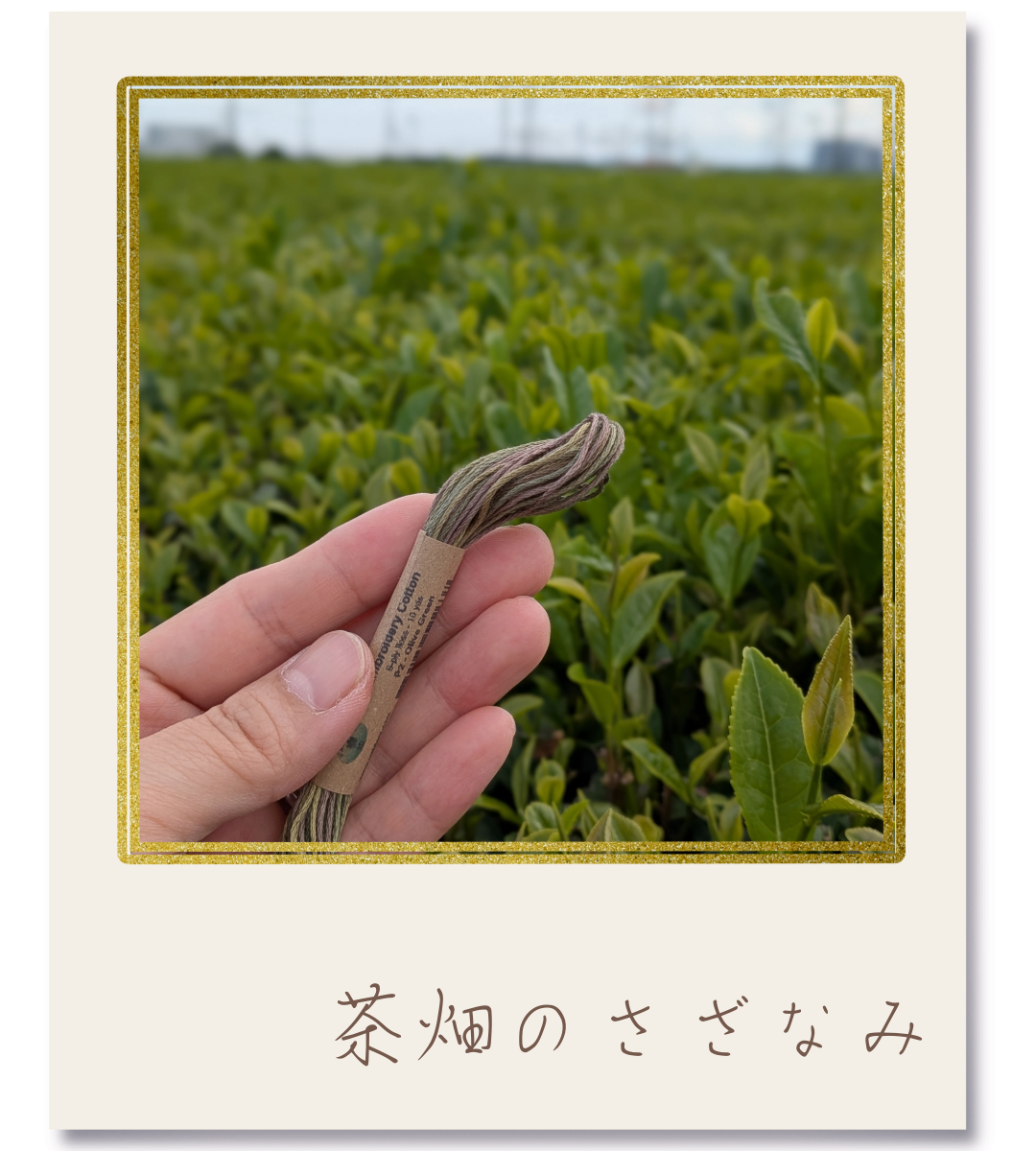 Valdani 25番段染め刺繍糸 #｜茶畑のさざなみ【風景の色を探しに｜茶畑】-2