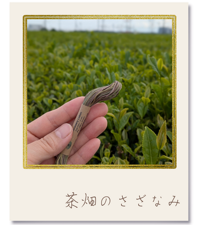 Valdani 25番段染め刺繍糸 #｜茶畑のさざなみ【風景の色を探しに｜茶畑】-2