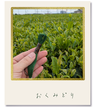 オリムパス25番刺繍糸 #2073｜おくみどり【風景の色を探しに｜茶畑】-2