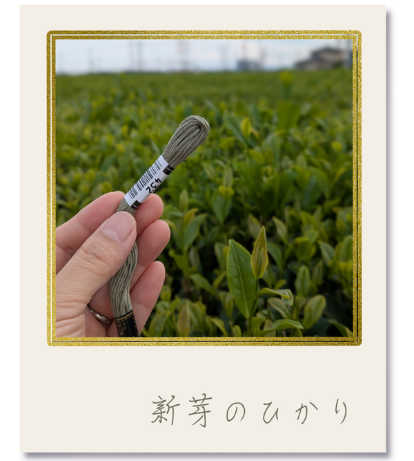 オリムパス25番刺繍糸 #432｜新芽のひかり【風景の色を探しに｜茶畑】-2